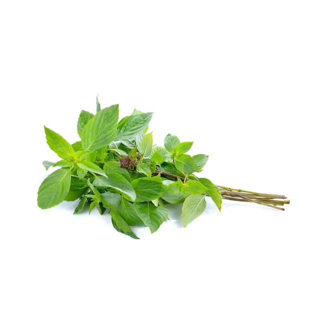Basil - Image 2