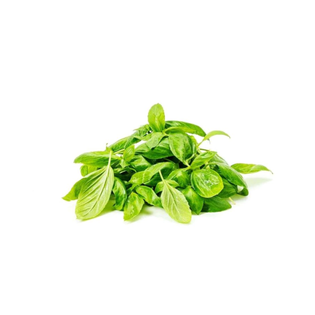 Basil