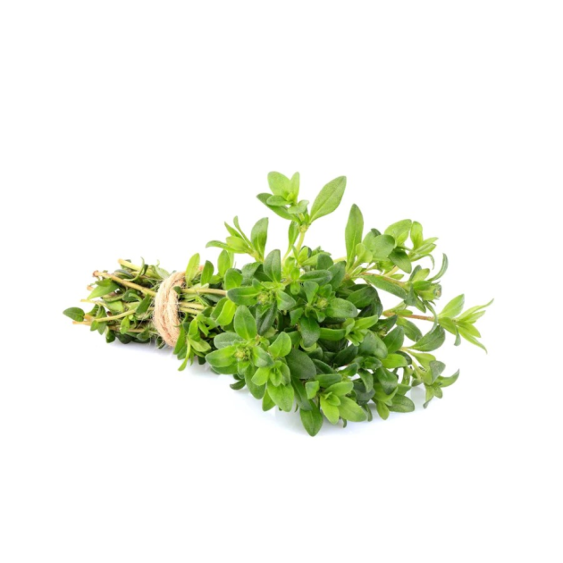 Thyme